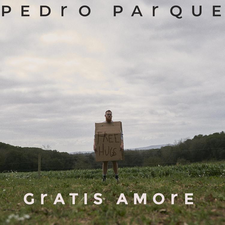 Pedro Parque's avatar image