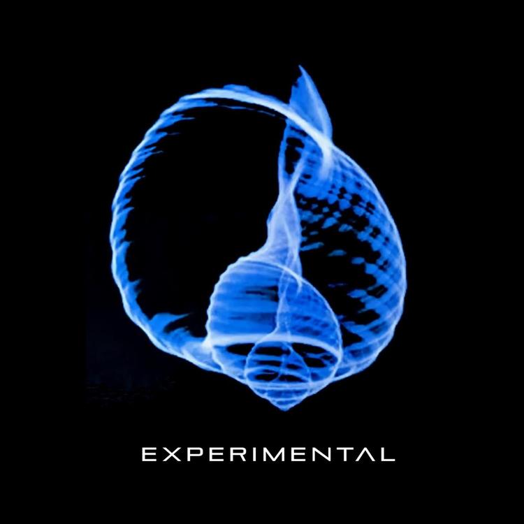 Experimental's avatar image