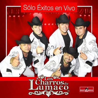 Mix Charros lumaco: Entre Golpes y Besos / Como dejar de Amarte / Cicatrices en el Alma (En Vivo)'s cover