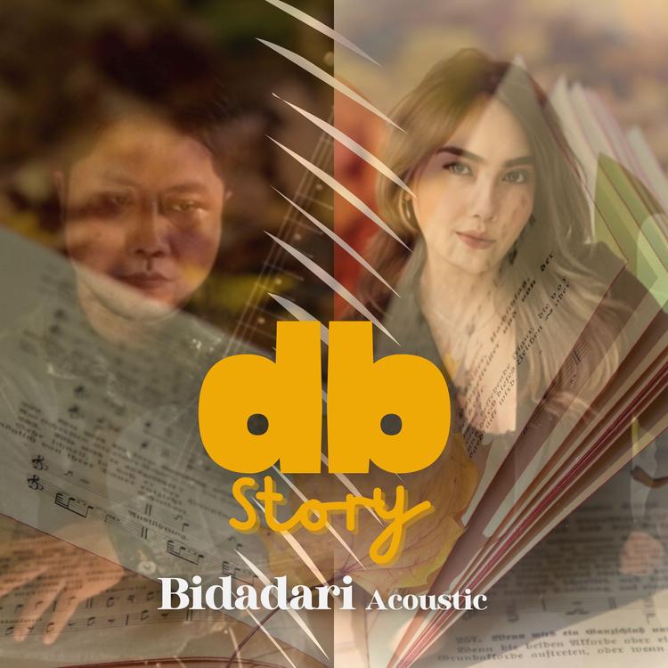 DB Story's avatar image
