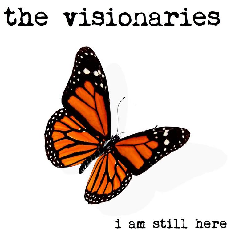 THE VISIONARIES's avatar image