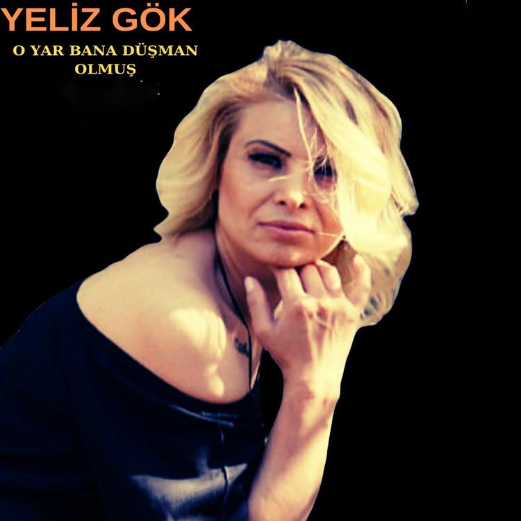 Yeliz Gök's avatar image