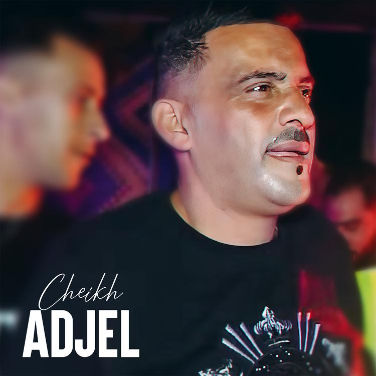 Cheikh Adjel's avatar image