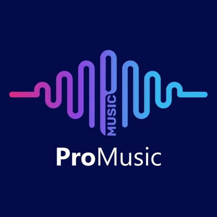 Promusic's avatar image