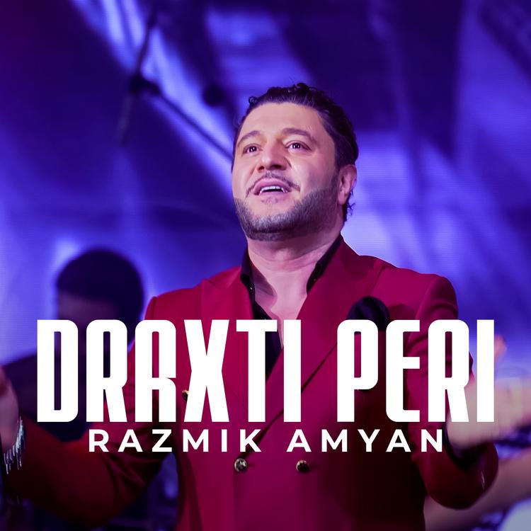 Razmik Amyan's avatar image