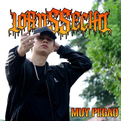 LORDSSECHO's cover