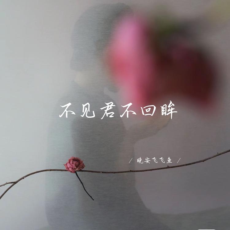 晚安飞飞鱼's avatar image