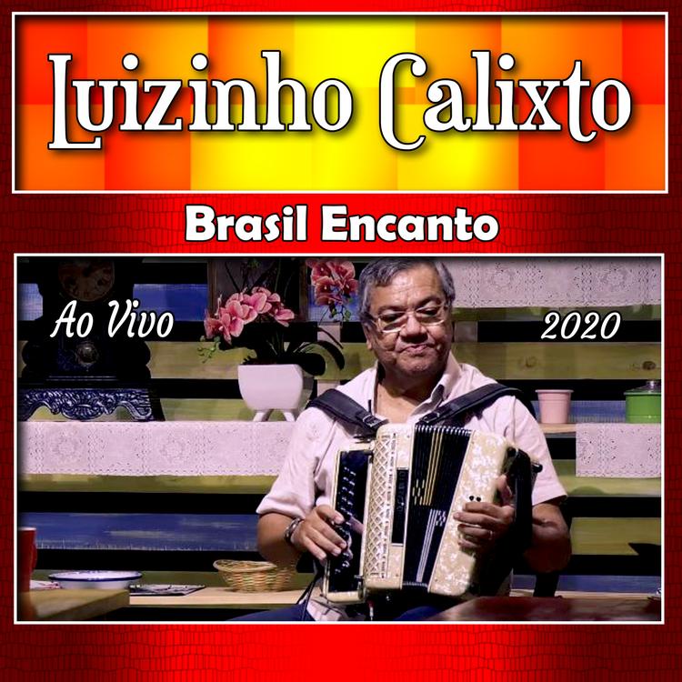 Luizinho Calixto's avatar image