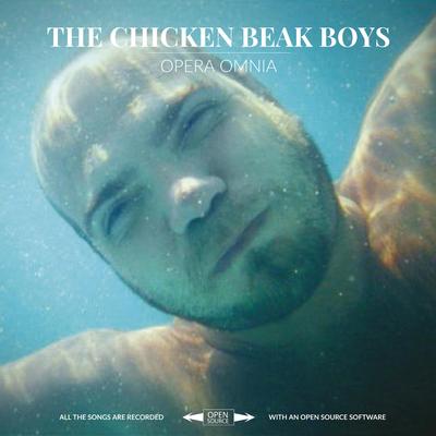 I Don't Want to Play with You By The Chicken Beak Boys's cover