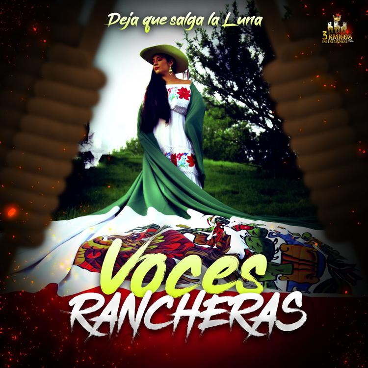 Voces Rancheras's avatar image