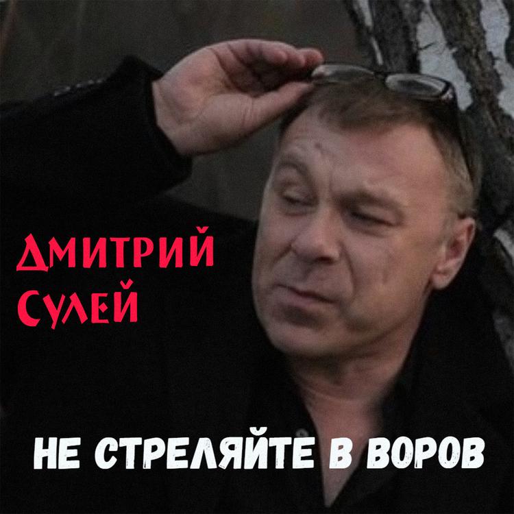 Дмитрий Сулей's avatar image