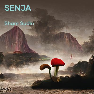 Senja's cover