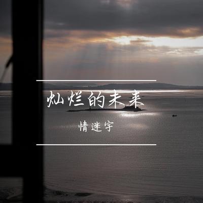 情迷宇's cover