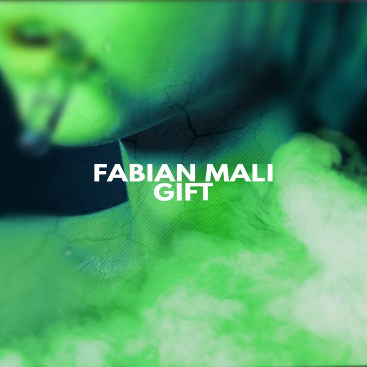 Fabian Mali's avatar image