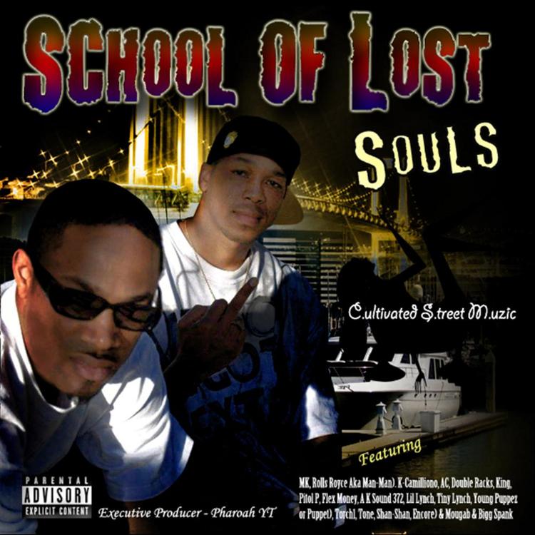 School of Lost Souls's avatar image