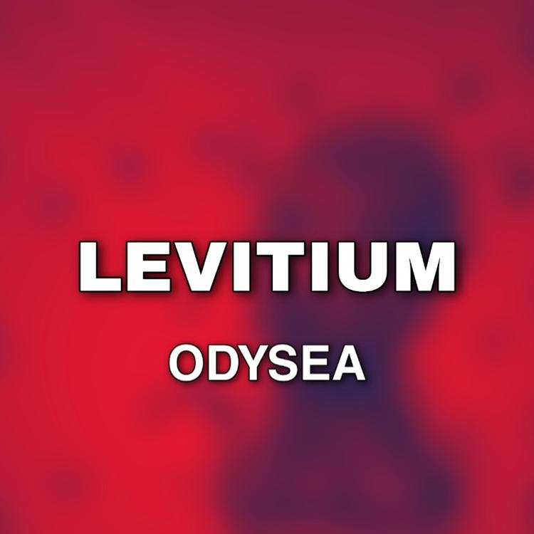 Levitium's avatar image