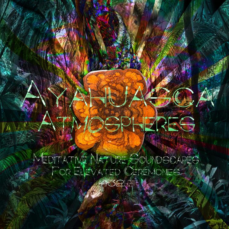 Ayahuasca Atmospheres's avatar image