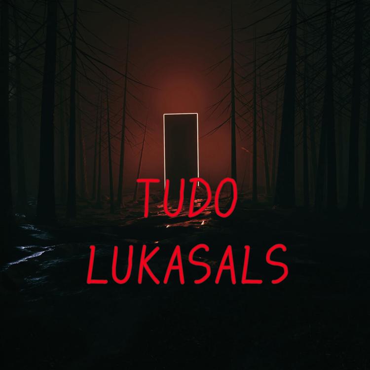 LukasALS's avatar image