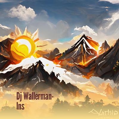 Dj Wallerman- Ins (Cover)'s cover