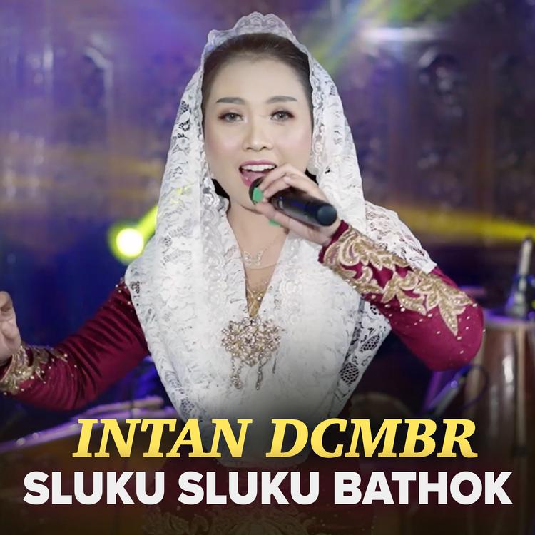 Intan DCMBR's avatar image