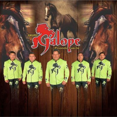 Grupo Galope's cover