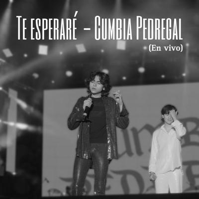 Te Esperaré (En Vivo)'s cover