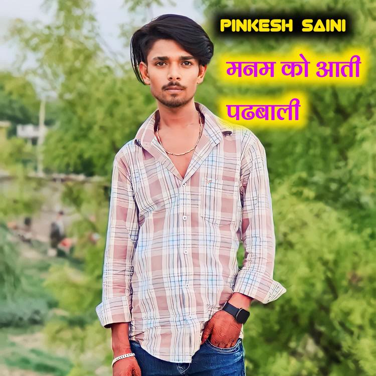 Pinkesh Saini's avatar image