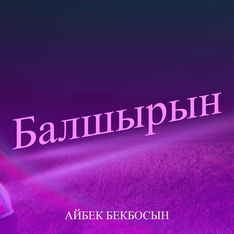 Айбек Бекбосын's avatar image