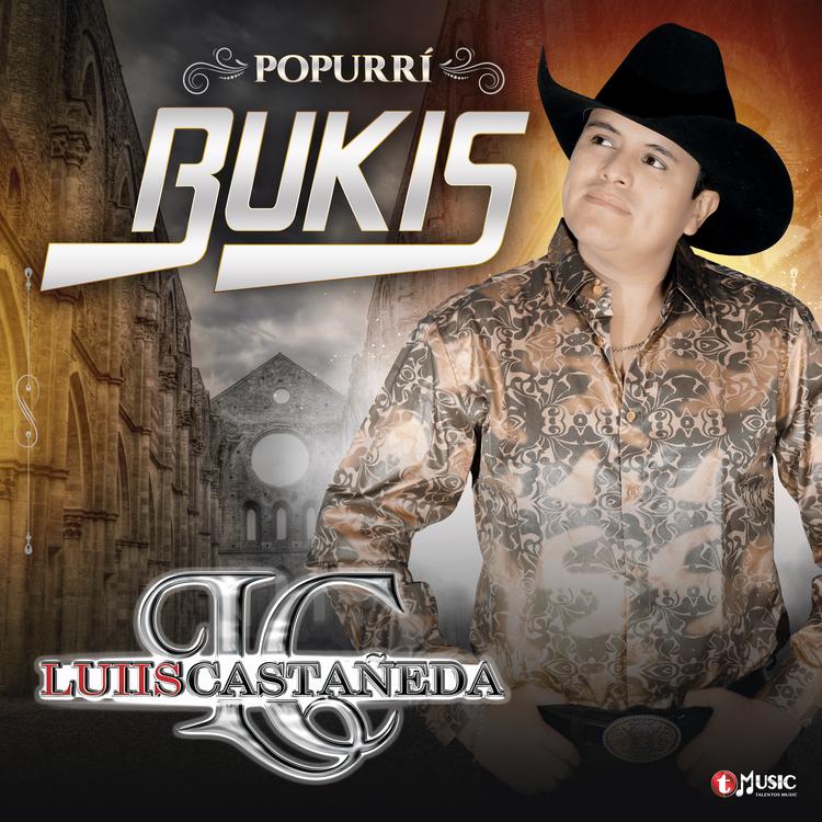 Luiis Castañeda's avatar image