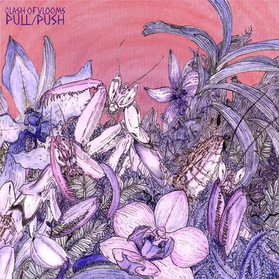 Pull/Push By Clash of Vlooms's cover