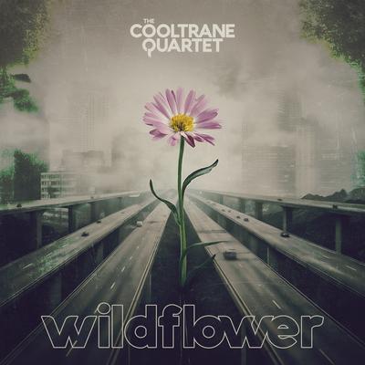 WILDFLOWER By The Cooltrane Quartet's cover