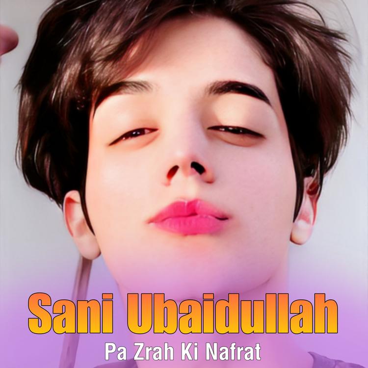 Sani Ubaidullah's avatar image