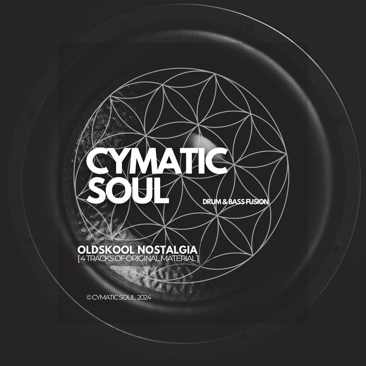 Cymatic Soul's avatar image