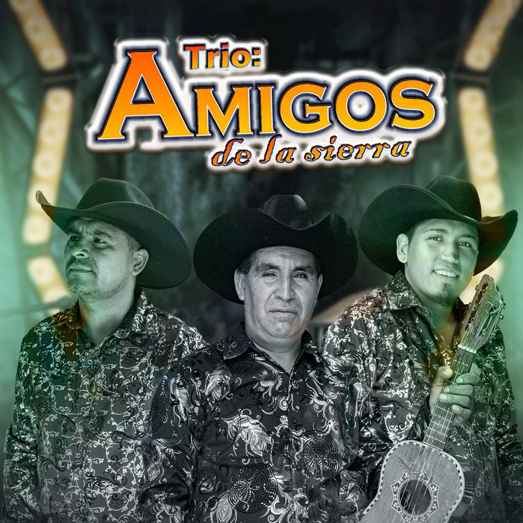 Trio Amigos De La Sierra's avatar image