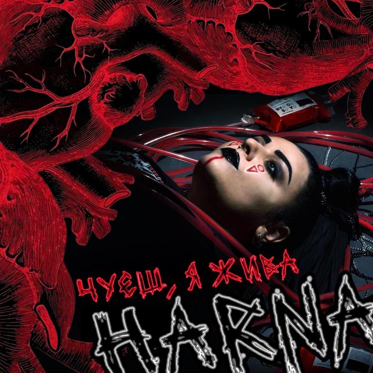 HARNA's avatar image