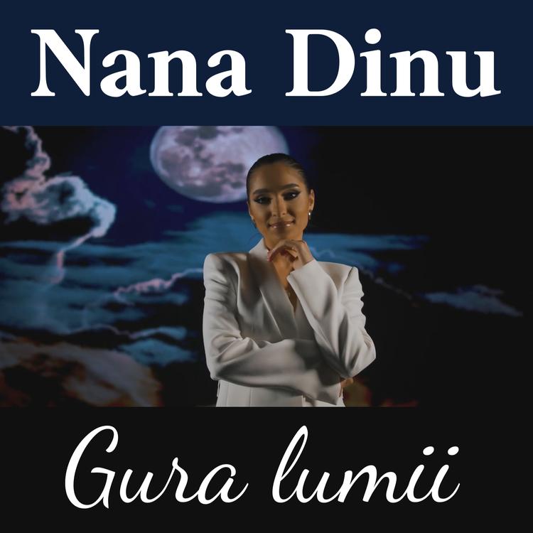 Nana Dinu's avatar image