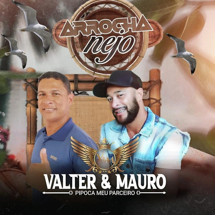 Valter e Mauro's avatar image