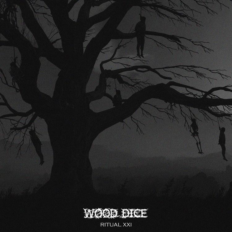 Wood Dice's avatar image