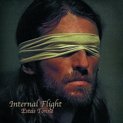 Internal Flight By Estas Tonne's cover