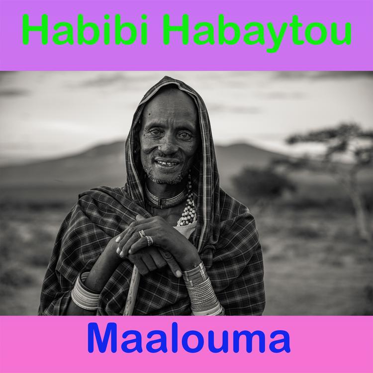 Habibi Habaytou's avatar image