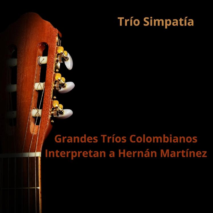 Trío Simpatía's avatar image