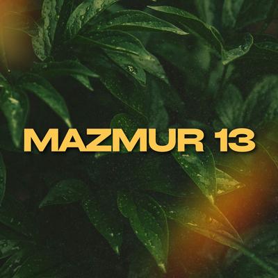 Mazmur 13's cover