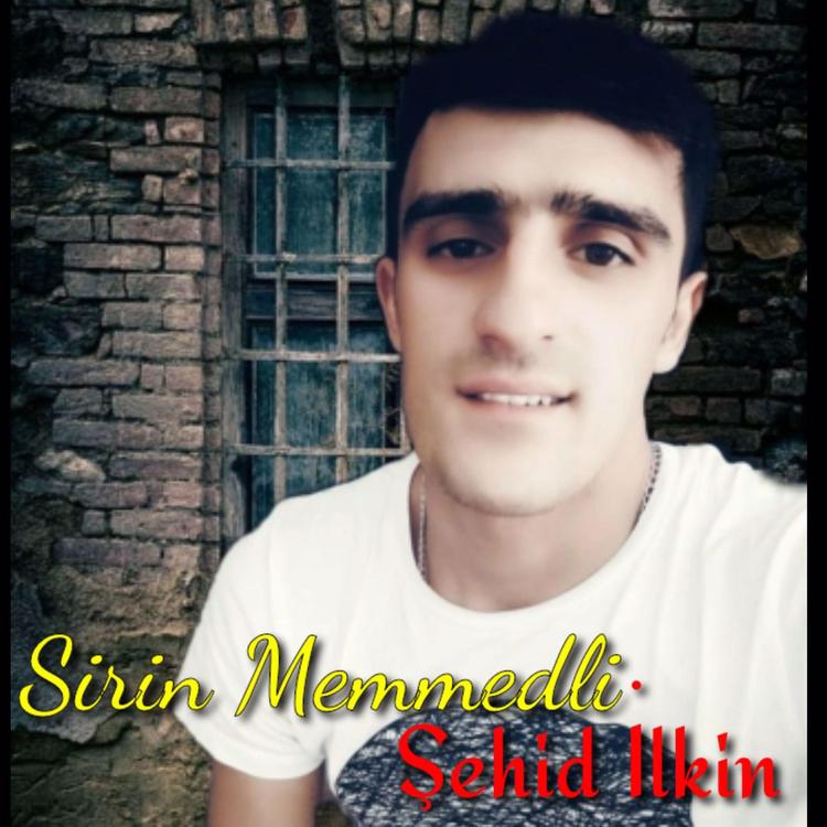 Şirin Memmedli's avatar image