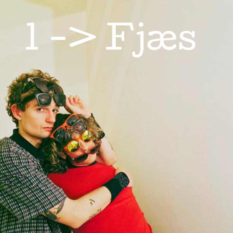 Fjæs's avatar image