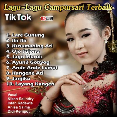 Lagu Lagu Campursari Terbaik TIKTOK's cover