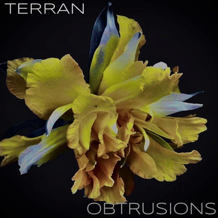 Terrán's avatar image