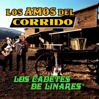 Los Amos Del Corrido's cover