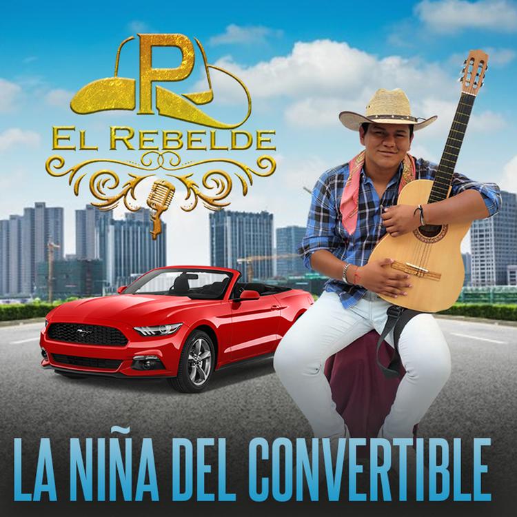 Pedro El Rebelde's avatar image