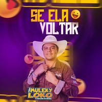 forró muleky loko pancadão's avatar cover