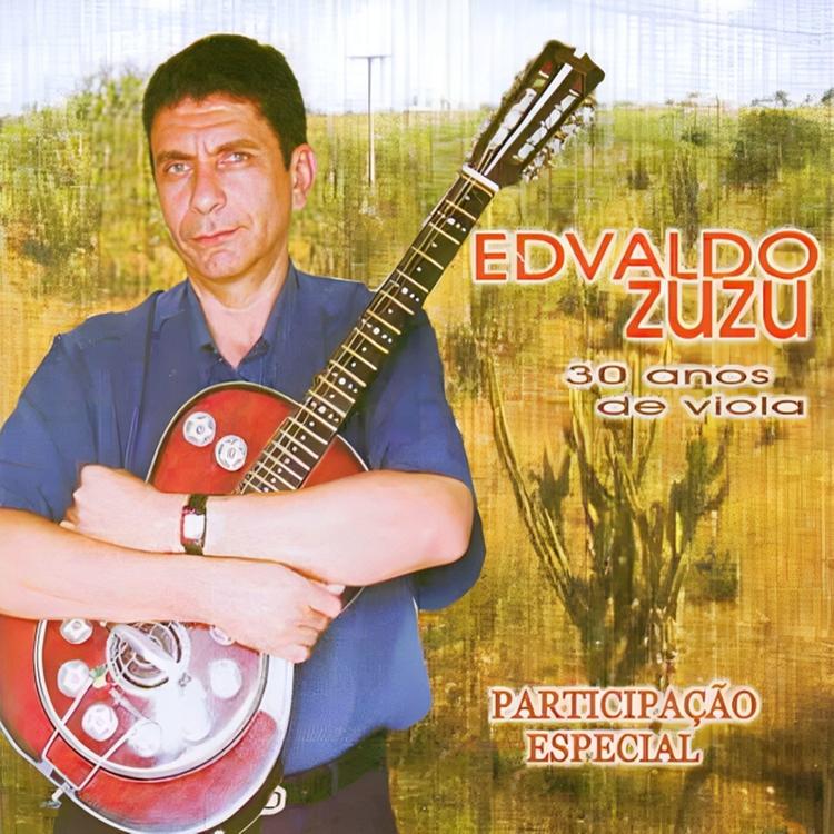 Edvaldo Zuzu's avatar image